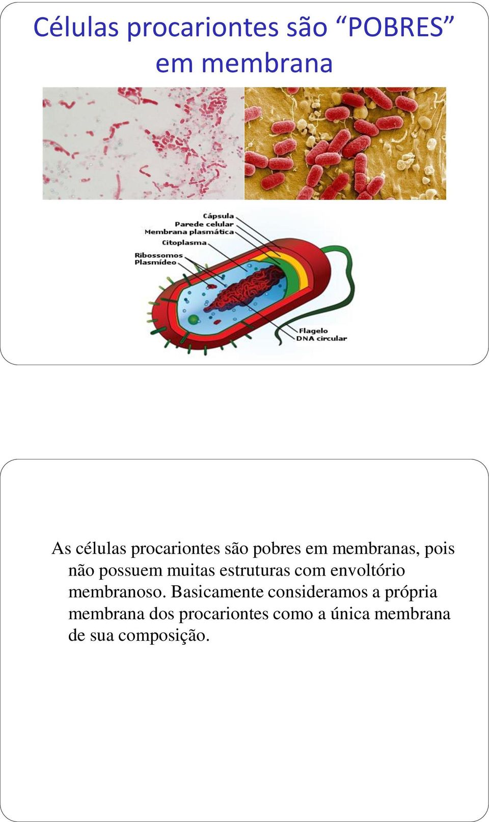 estruturas com envoltório membranoso.