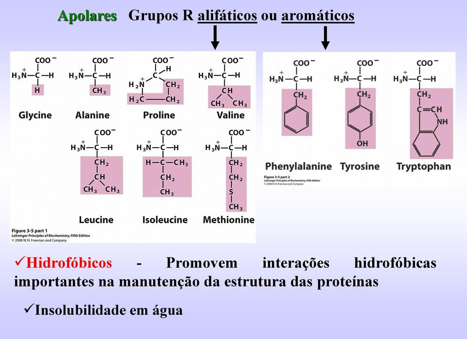 interações hidrofóbicas importantes na