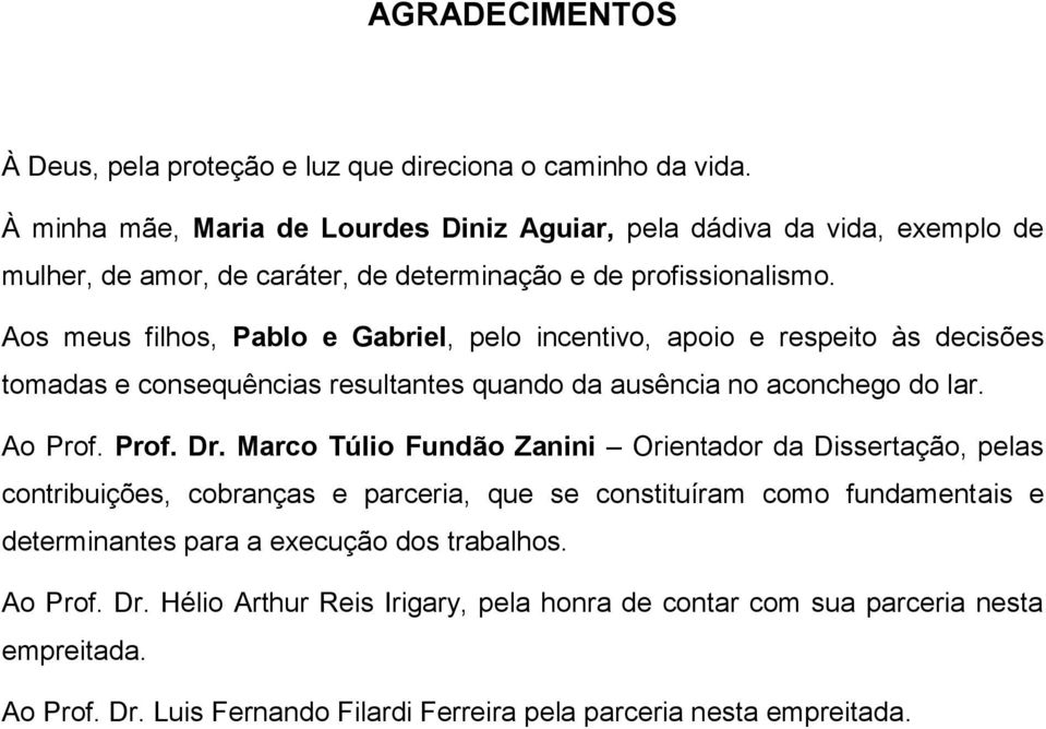 Aos meus filhos, Pablo e Gabriel, pelo incentivo, apoio e respeito às decisões tomadas e consequências resultantes quando da ausência no aconchego do lar. Ao Prof. Prof. Dr.