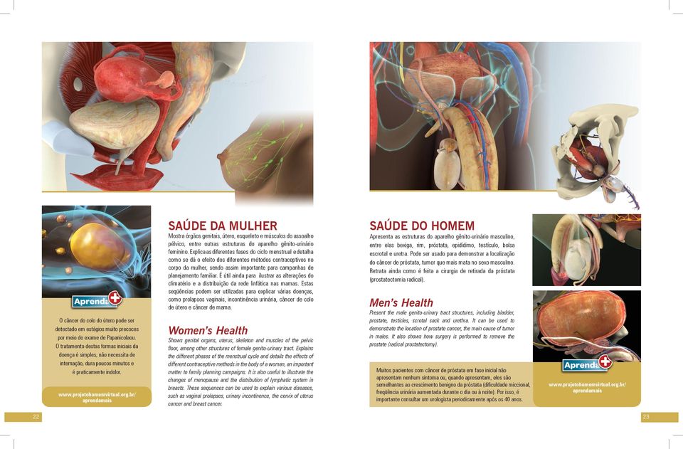 SAúDE DA MULHER Mostra órgãos genitais, útero, esqueleto e músculos do assoalho pélvico, entre outras estruturas do aparelho gênito-urinário feminino.