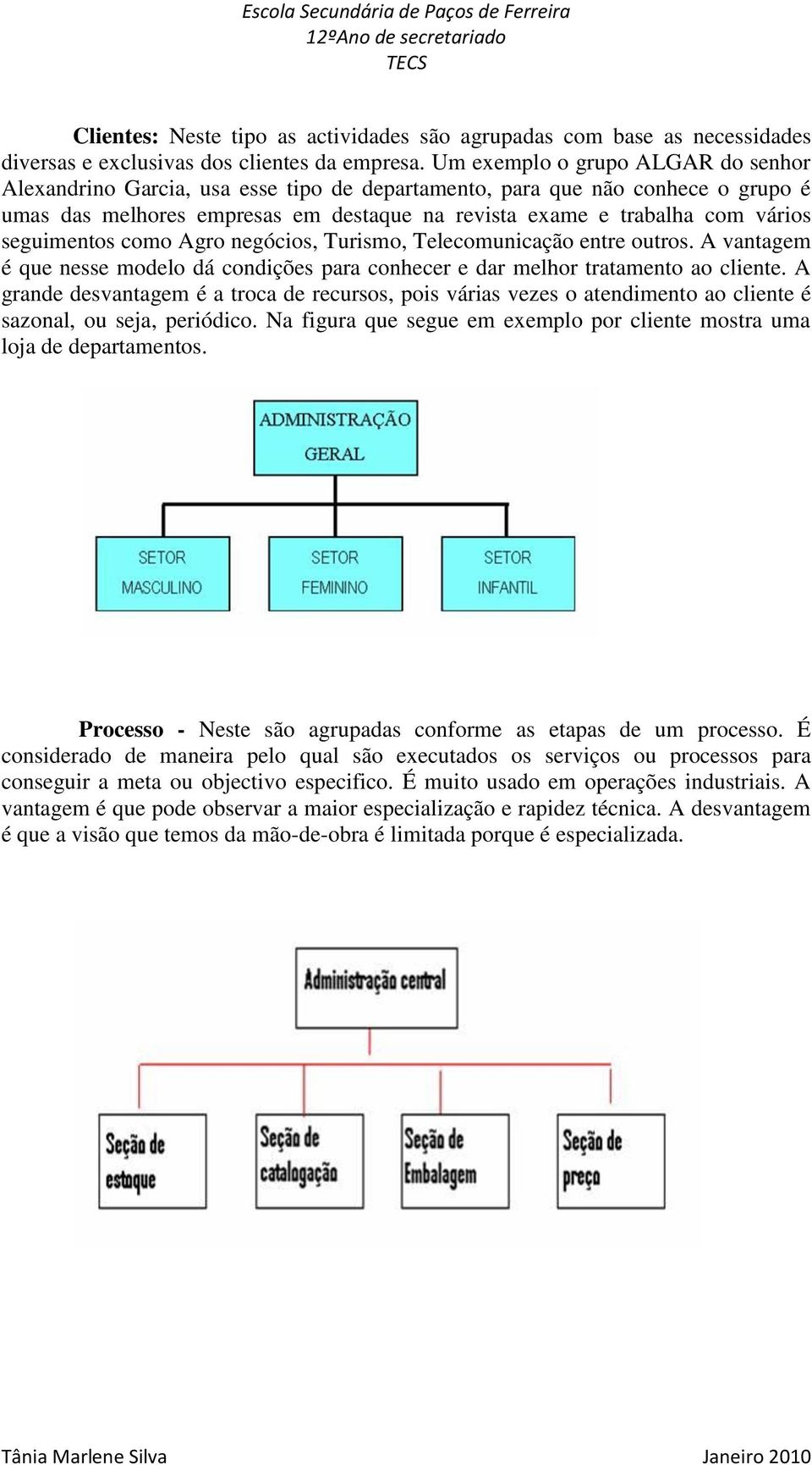 seguimentos como Agro negócios, Turismo, Telecomunicação entre outros. A vantagem é que nesse modelo dá condições para conhecer e dar melhor tratamento ao cliente.