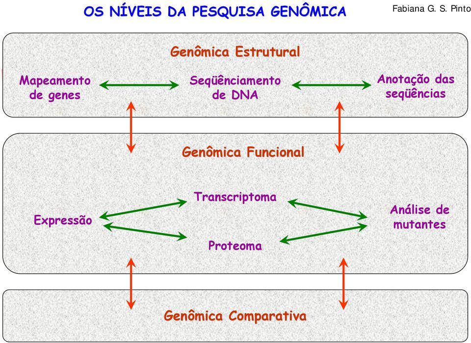 Seqüênciamento de DNA Anotação das seqüências Genômica