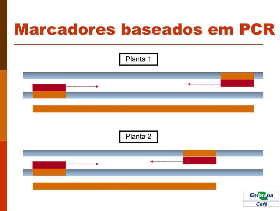 em PCR