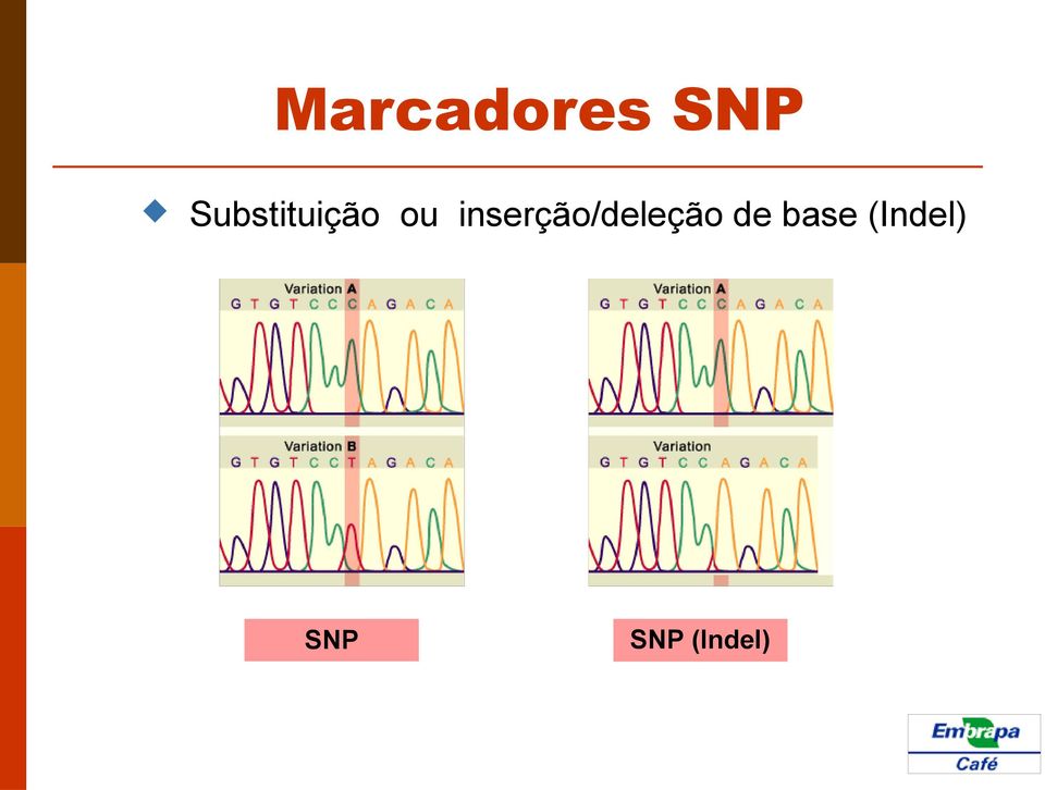 inserção/deleção de