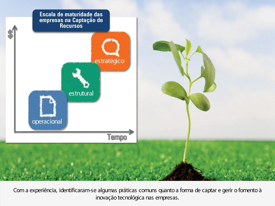 identificaram-se algumas práticas comuns quanto a forma