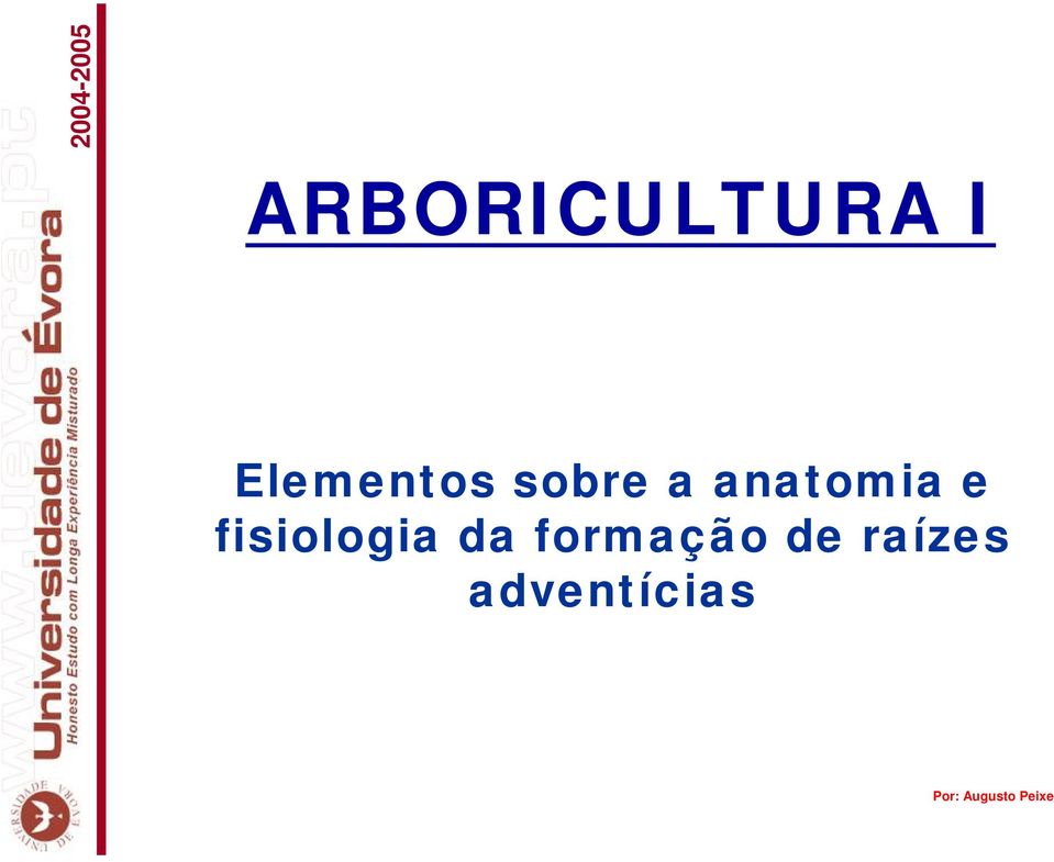 fisiologia da formação de