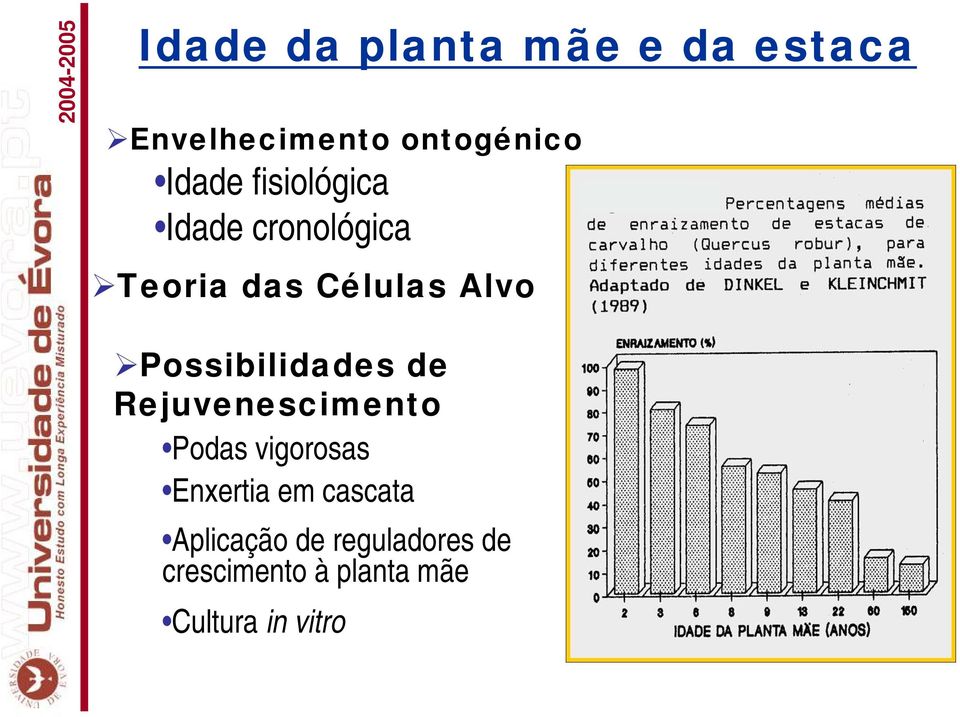 Possibilidades de Rejuvenescimento Podas vigorosas Enxertia em