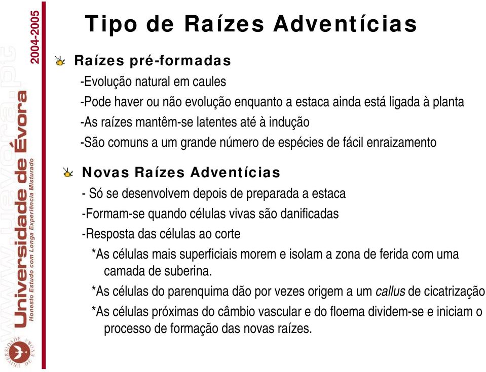 -Formam-se quando células vivas são danificadas -Resposta das células ao corte *As células mais superficiais morem e isolam a zona de ferida com uma camada de suberina.