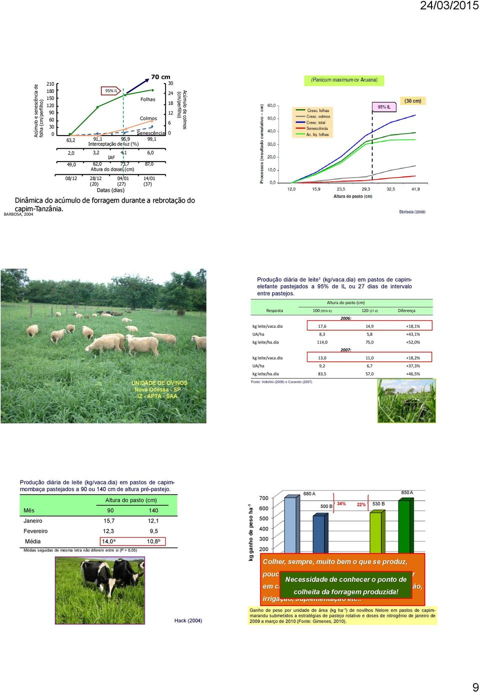 capim-tanzânia. BARBOSA, 2004 Produção diária de leite 1 (kg/vaca.dia) em pastos de capimelefante pastejados a 95% de IL ou 27 dias de intervalo entre pastejos.