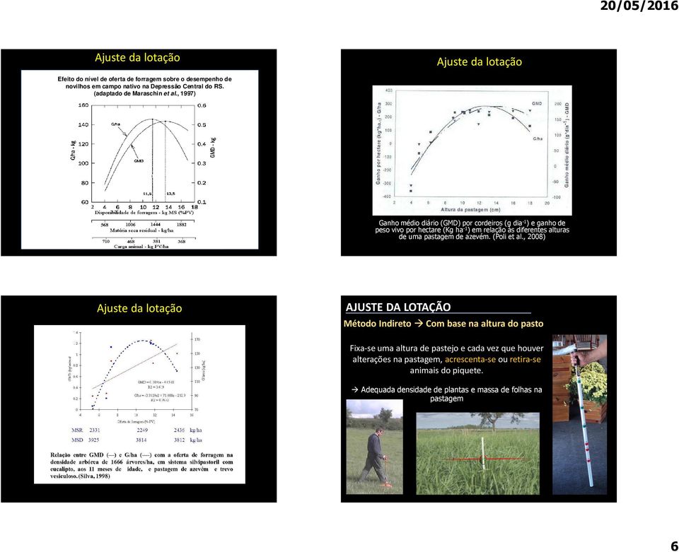 , 1997) Ganho médio diário (GMD) por cordeiros (g dia -1 ) e ganho de peso vivo por hectare (Kg ha -1 ) em relação às diferentes alturas de uma pastagem de