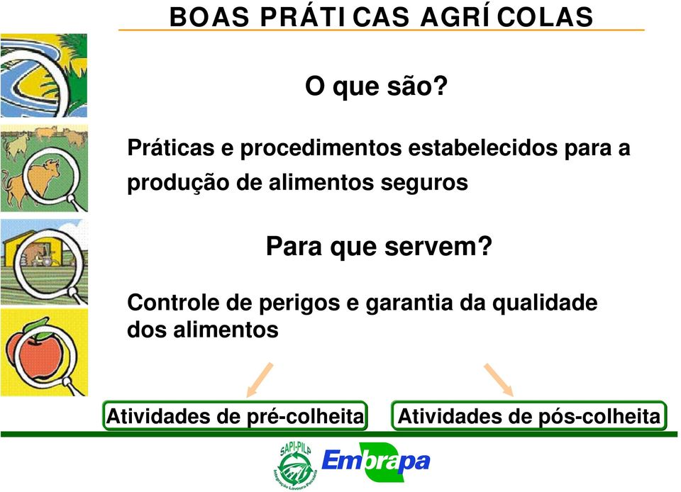 alimentos seguros Para que servem?