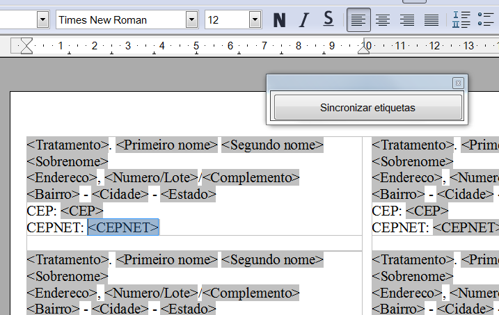 6) O modelo de etiquetas está pronto. Entretanto, os campos estão configurados para uma fonte comum do editor de texto, por exemplo Times New Roman ou Arial.