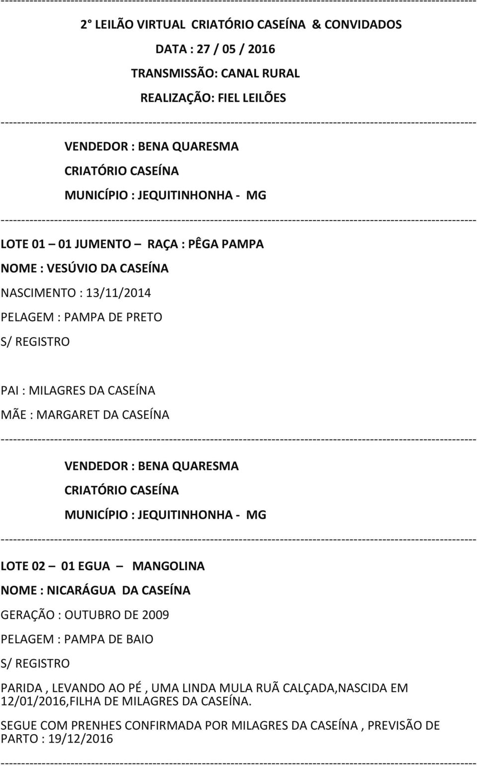 EGUA MANGOLINA NOME : NICARÁGUA DA CASEÍNA GERAÇÃO : OUTUBRO DE 2009 PELAGEM : PAMPA DE BAIO PARIDA, LEVANDO AO PÉ, UMA LINDA MULA RUÃ