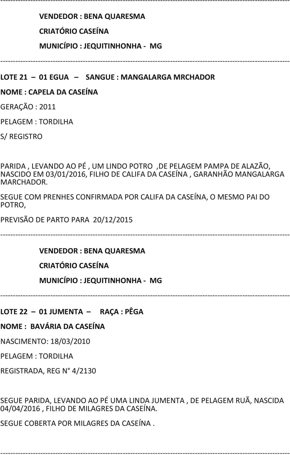 SEGUE COM PRENHES CONFIRMADA POR CALIFA DA CASEÍNA, O MESMO PAI DO POTRO, PREVISÃO DE PARTO PARA 20/12/2015 LOTE 22 01 JUMENTA NOME : BAVÁRIA DA CASEÍNA