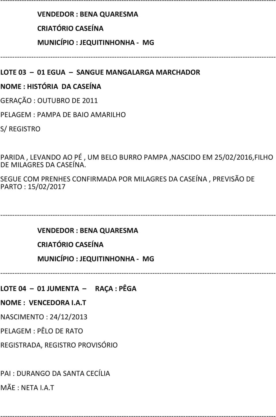 SEGUE COM PRENHES CONFIRMADA POR MILAGRES DA CASEÍNA, PREVISÃO DE PARTO : 15/02/2017 LOTE 04 01 JUMENTA RAÇA : PÊGA NOME :