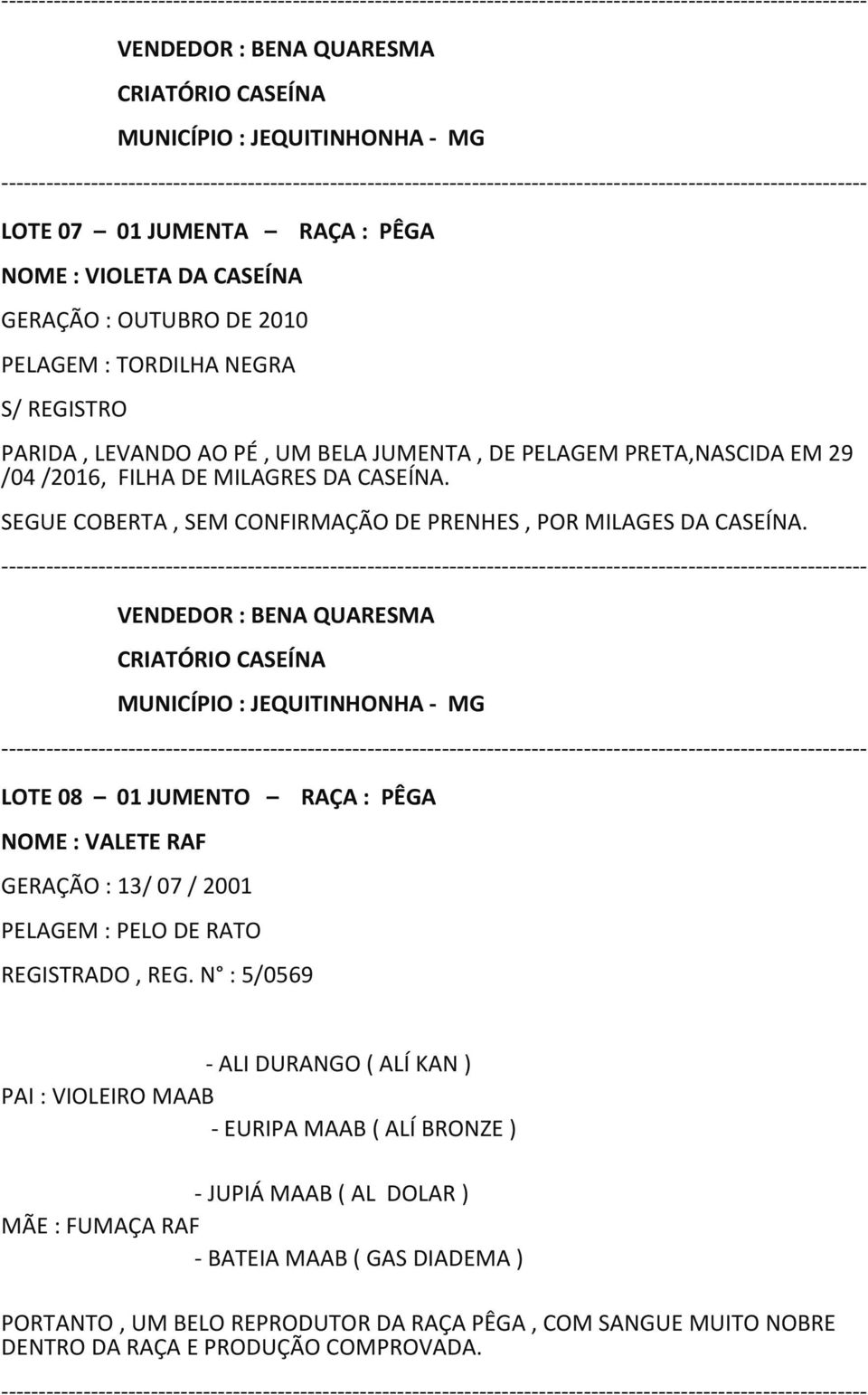 LOTE 08 01 JUMENTO RAÇA : PÊGA NOME : VALETE RAF GERAÇÃO : 13/ 07 / 2001 PELAGEM : PELO DE RATO REGISTRADO, REG.