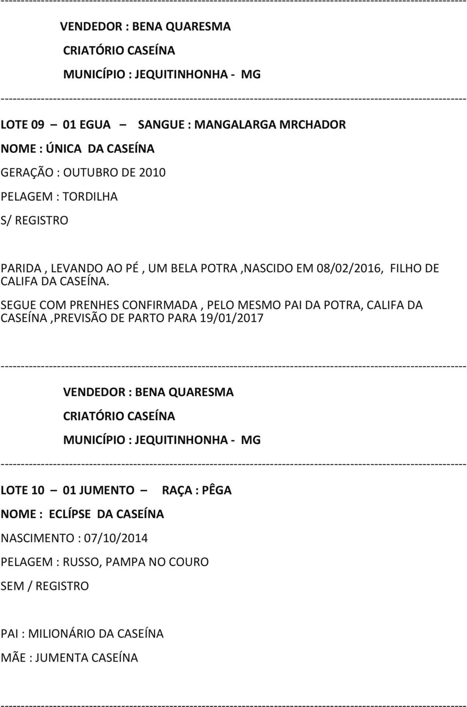 SEGUE COM PRENHES CONFIRMADA, PELO MESMO PAI DA POTRA, CALIFA DA CASEÍNA,PREVISÃO DE PARTO PARA 19/01/2017 LOTE 10 01