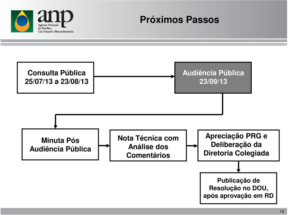 Análise dos Comentários Apreciação PRG e Deliberação da