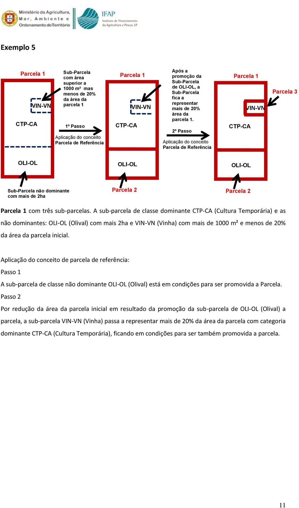 A sub-parcela de classe dominante (Cultura Temporária) e as não dominantes: (Olival) com mais 2ha e (Vinha) com mais de 1000 m² e menos de 20% da área da parcela inicial.