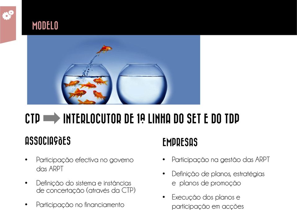 Participação no financiamento EMPRESAS Participação na gestão das ARPT Definição de