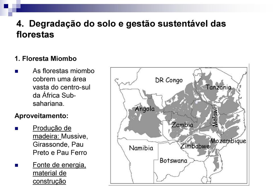 centro-sul da África Subsahariana.