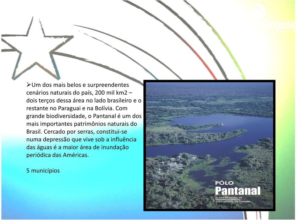 Com grande biodiversidade, o Pantanal é um dos mais importantes patrimônios naturais do Brasil.