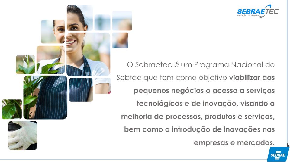 tecnológicos e de inovação, visando a melhoria de processos,