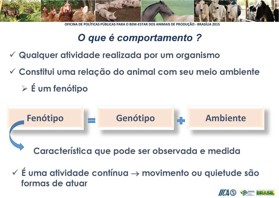 do animal com seu meio ambiente É um fenótipo Fenótipo Genótipo