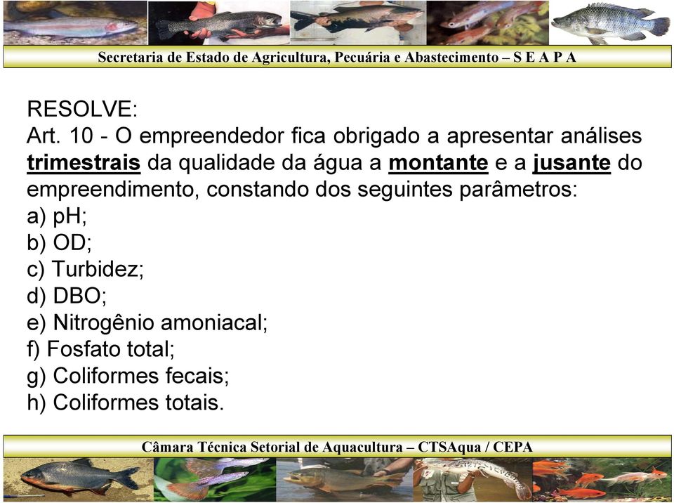 qualidade da água a montante e a jusante do empreendimento, constando dos