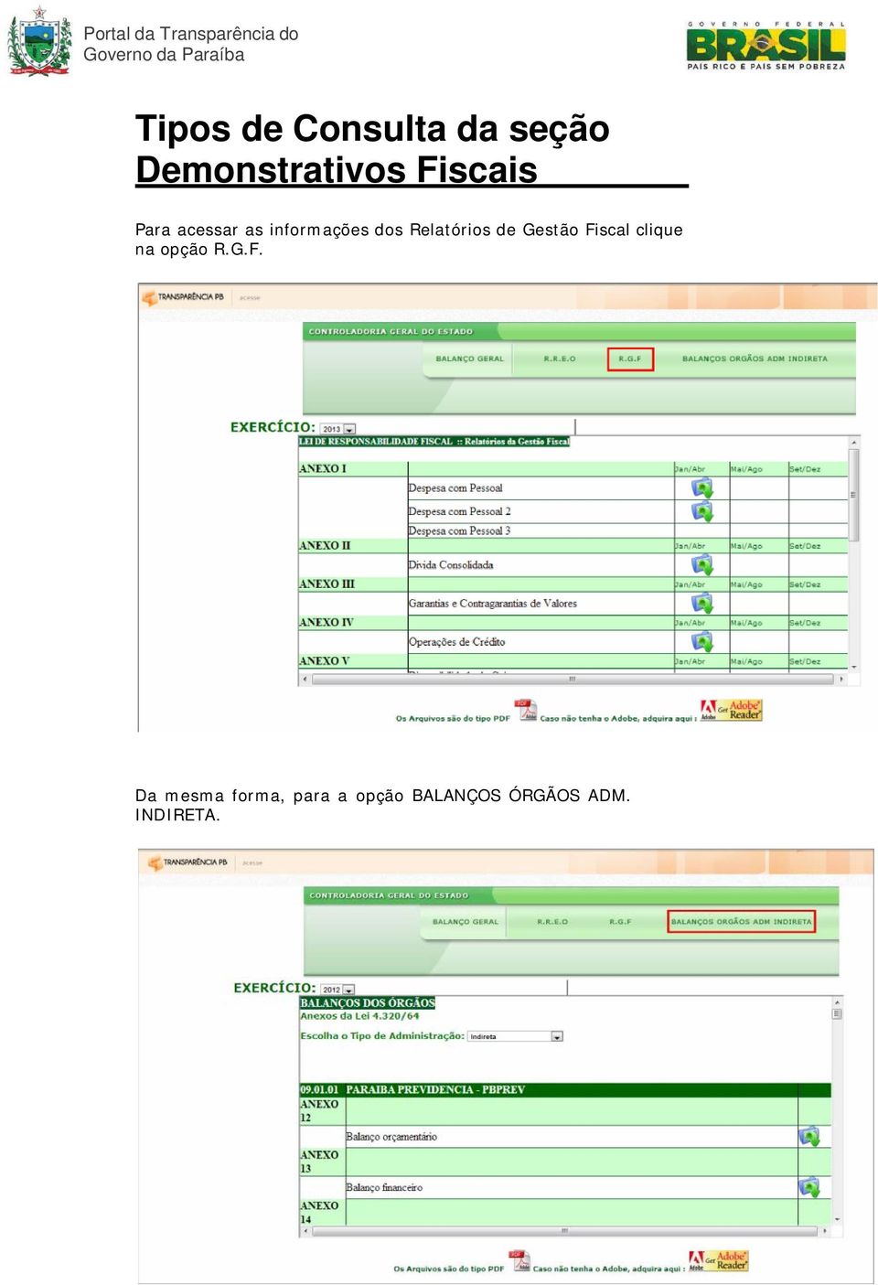 Relatórios de Gestão Fi