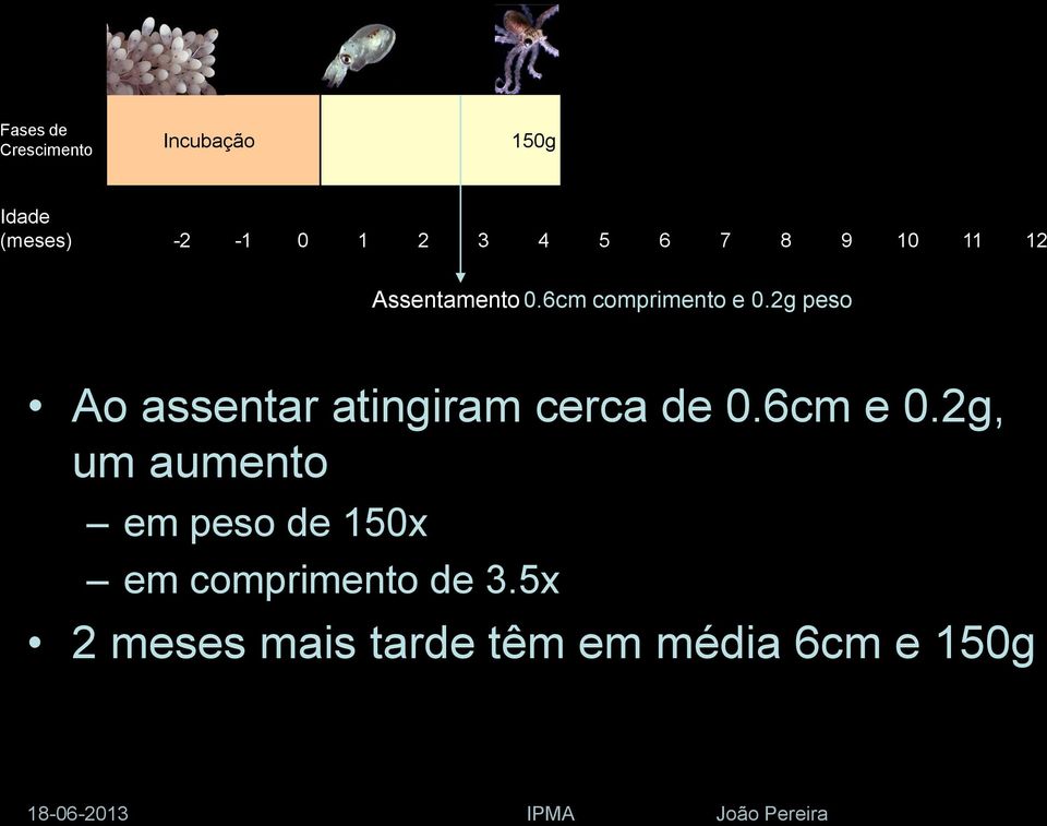 2g peso Ao assentar atingiram cerca de 0.6cm e 0.