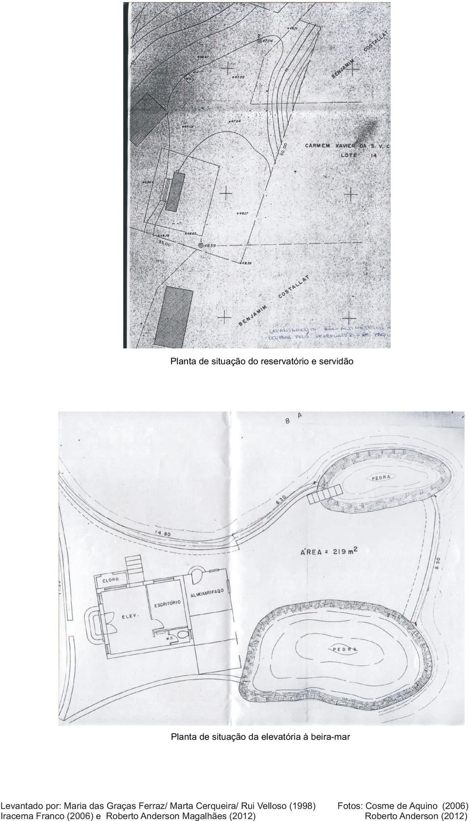 servidão Planta de