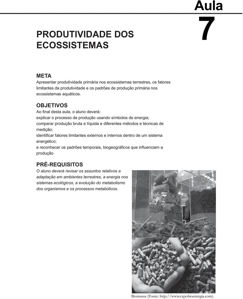 OBJETIVOS Ao fi nal desta aula, o aluno deverá: explicar o processo de produção usando símbolos de energia; comparar produção bruta e líquida e diferentes métodos e técnicas de medição; identifi car