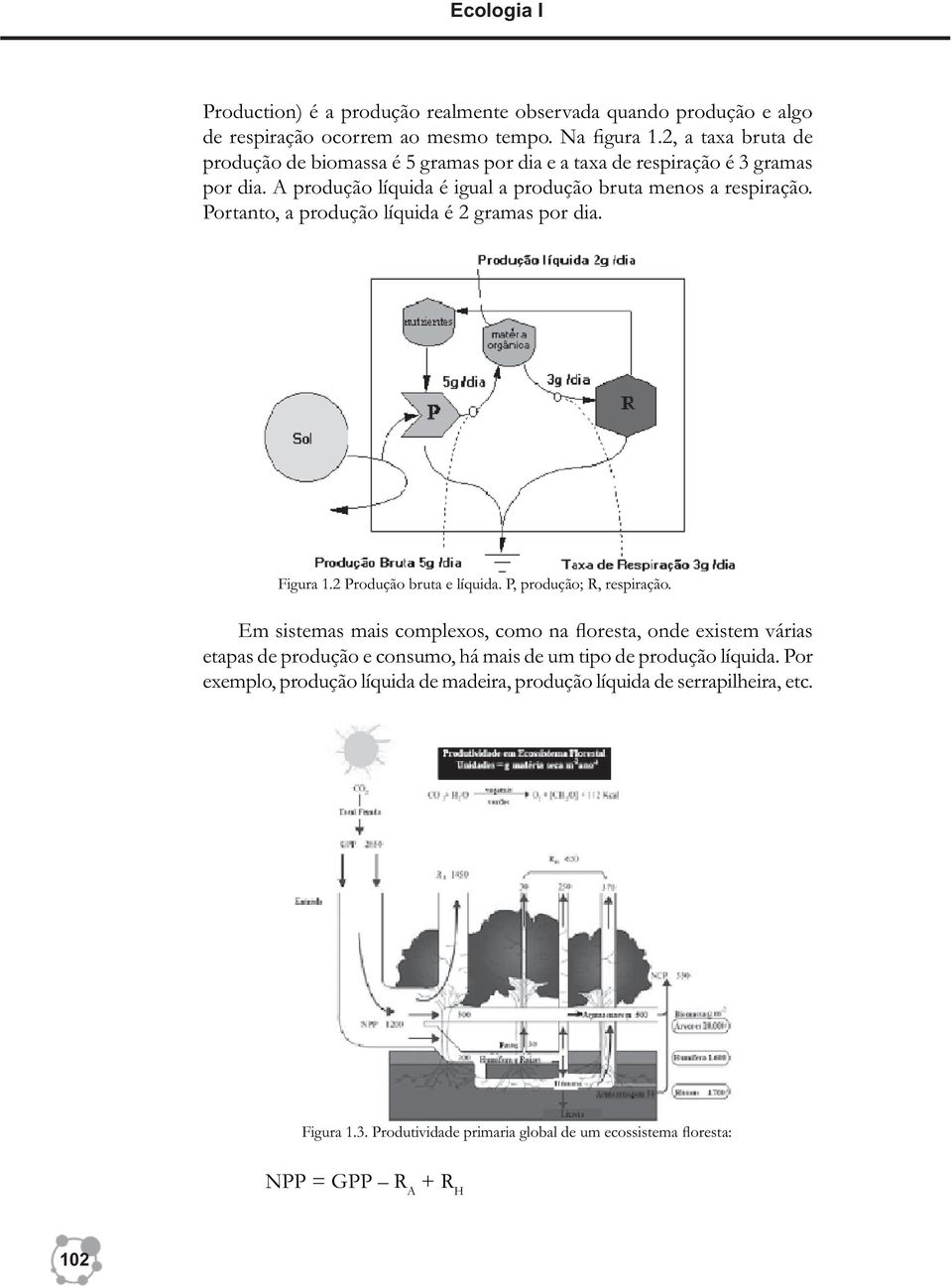 Portanto, a produção líquida é 2 gramas por dia. Figura 1.2 Produção bruta e líquida. P, produção; R, respiração.