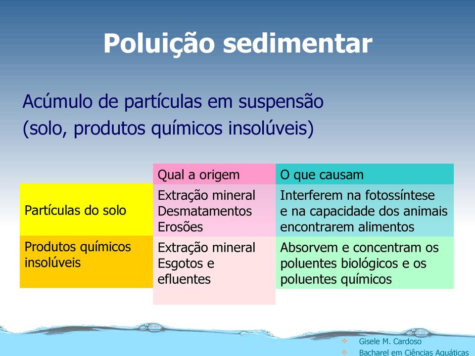 Desmatamentos Erosões Interferem na fotossíntese e na capacidade dos animais encontrarem