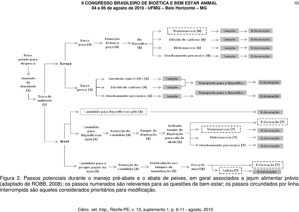 associados a jejum alimentar prévio (adaptado de ROBB, 2008); os passos