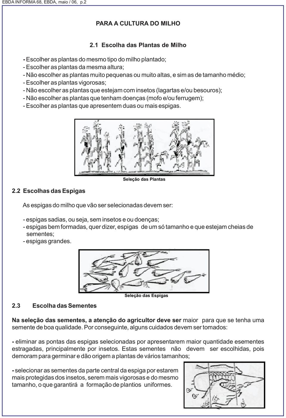 tamanho médio; - Escolher as plantas vigorosas; - Não escolher as plantas que estejam com insetos (lagartas e/ou besouros); - Não escolher as plantas que tenham doenças (mofo e/ou ferrugem); -