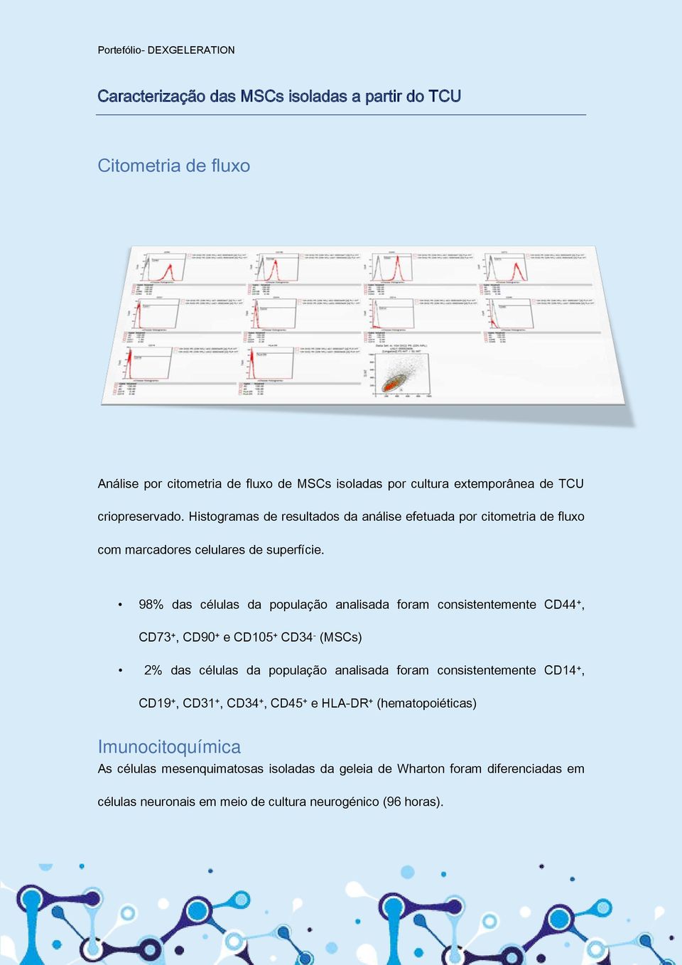 98% das células da população analisada foram consistentemente CD44 +, CD73 +, CD90 + e CD105 + CD34 - (MSCs) 2% das células da população analisada foram