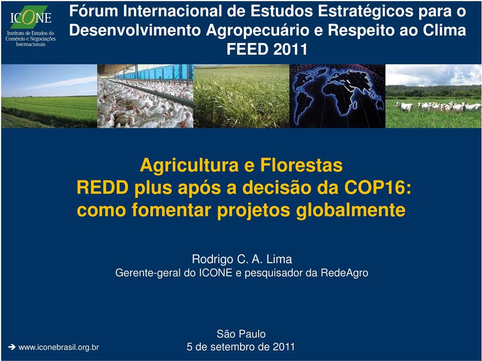 decisão da COP16: como fomentar projetos globalmente Rodrigo C. A.