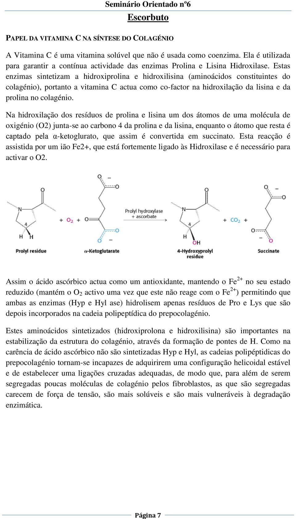 Estas enzimas sintetizam a hidroxiprolina e hidroxilisina (aminoácidos constituintes do colagénio), portanto a vitamina C actua como co-factor na hidroxilação da lisina e da prolina no colagénio.