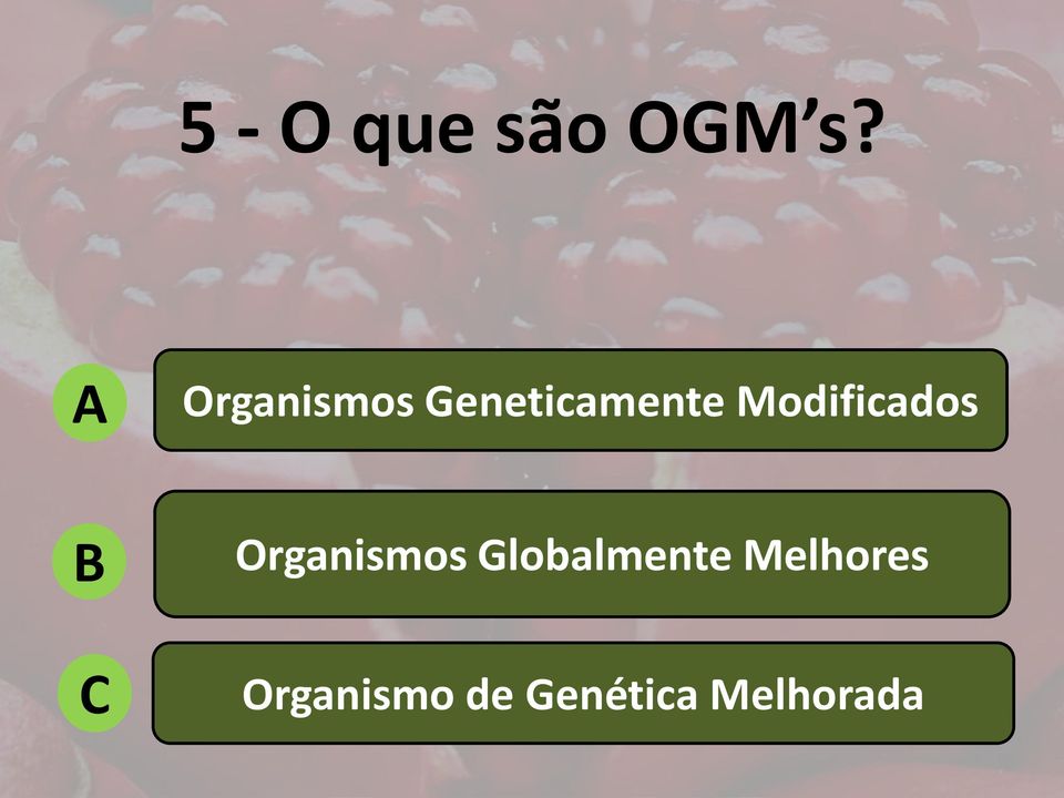 Modificados Organismos