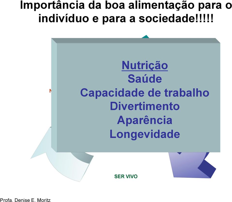 !!!! NUTRIÇÃO Nutrição Saúde MEIO AMBIENTE