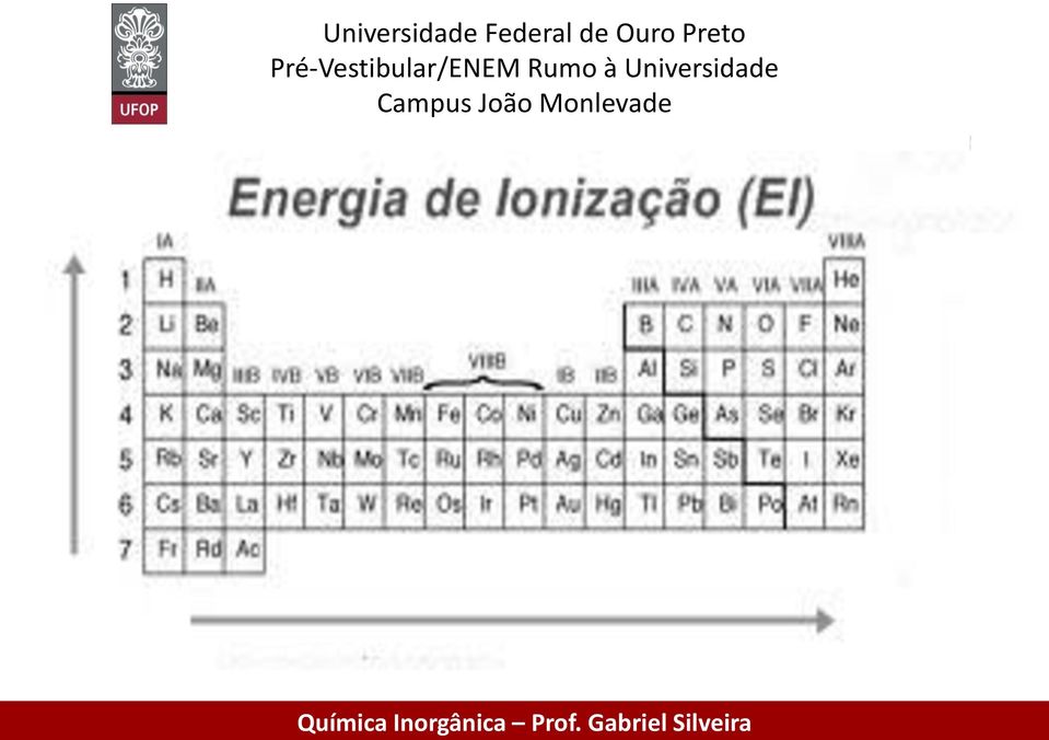 n e t s Universidade