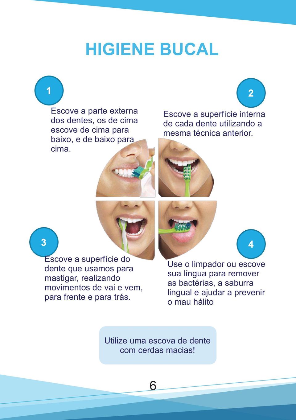 Escove a superfície do dente que usamos para mastigar, realizando movimentos de vai e vem, para frente e para trás.