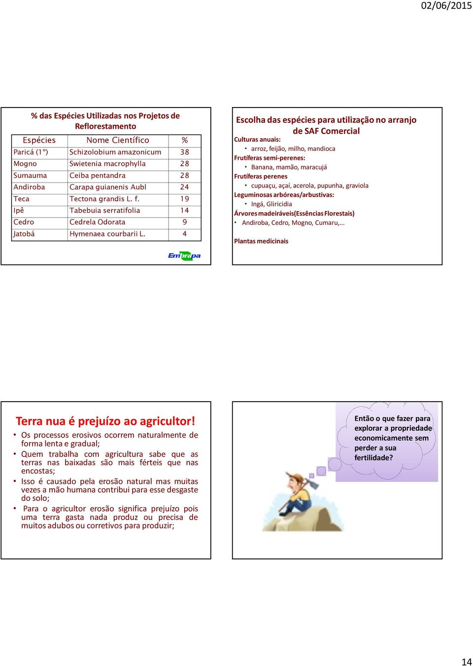 4 Escolha das espécies para utilização no arranjo de SAF Comercial Culturas anuais: arroz, feijão, milho, mandioca Frutíferas semi-perenes: Banana, mamão, maracujá Frutíferas perenes cupuaçu, açaí,