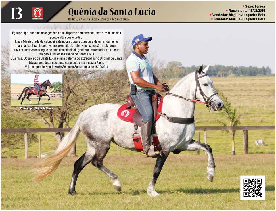 Linda Matriz tirada da cabeceira da nossa tropa, possuidora de um andamento marchado, dissociado e avante, exemplo de nobreza e expressão racial e que traz em suas veias sangue de uma