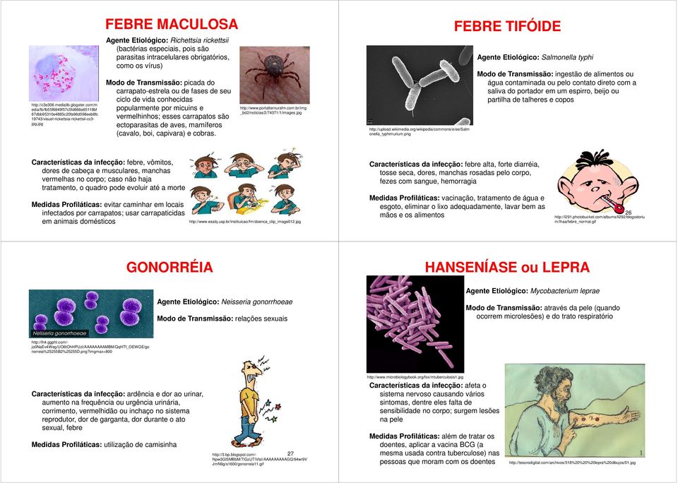 fases de seu ciclo de vida conhecidas popularmente por micuins e vermelhinhos; esses carrapatos são ectoparasitas de aves, mamíferos (cavalo, boi, capivara) e cobras. http://www.portalternurafm.com.