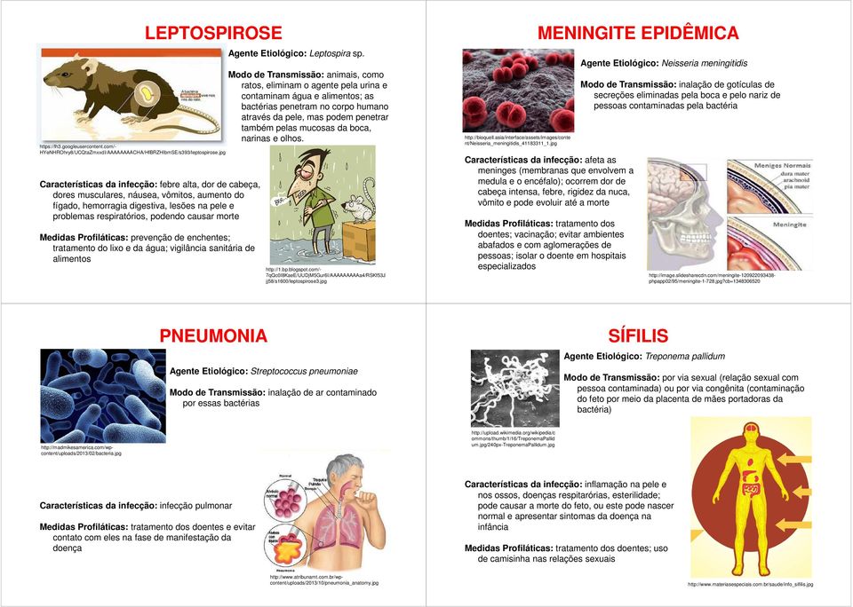 Modo de Transmissão: animais, como ratos, eliminam o agente pela urina e contaminam água e alimentos; as bactérias penetram no corpo humano através da pele, mas podem penetrar também pelas mucosas da