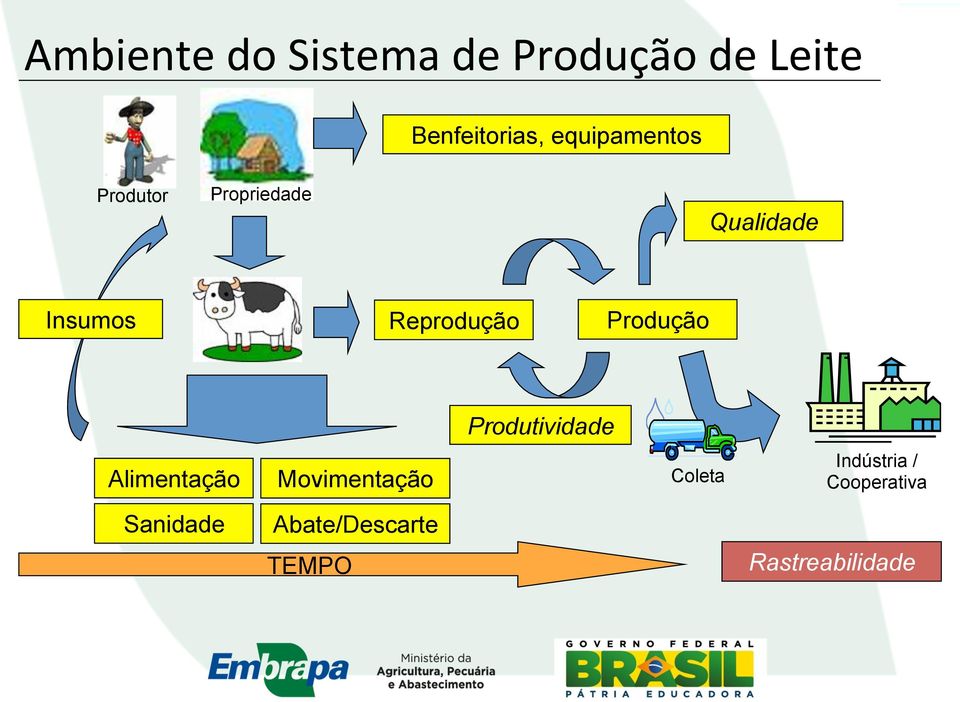 Reprodução Produção Produtividade Alimentação Movimentação