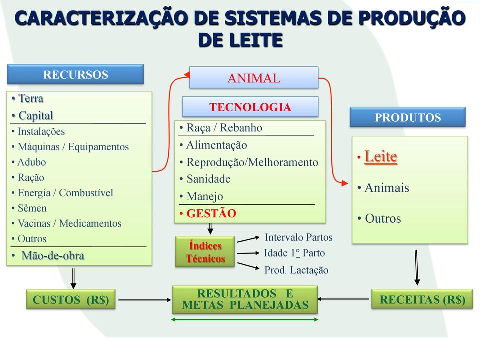 TECNOLOGIA Raça / Rebanho Alimentação Reprodução/Melhoramento Sanidade Manejo GESTÃO Índices Técnicos